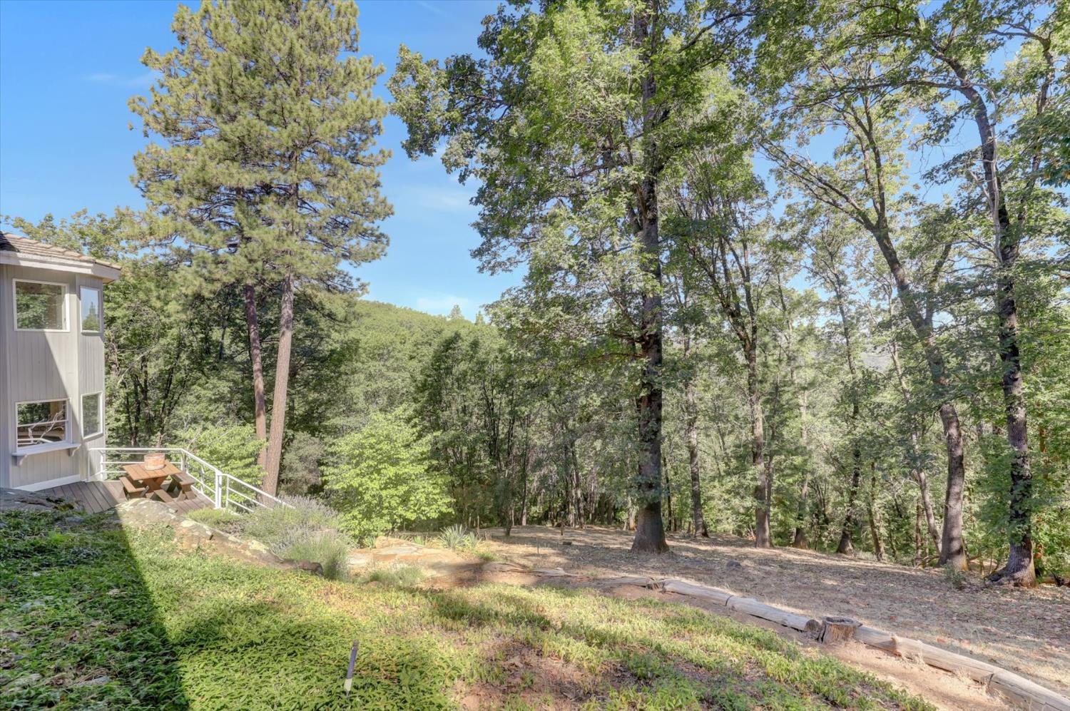 13118 Cement Hill Road Nevada City, CA 95959 - Photo 82 of 98