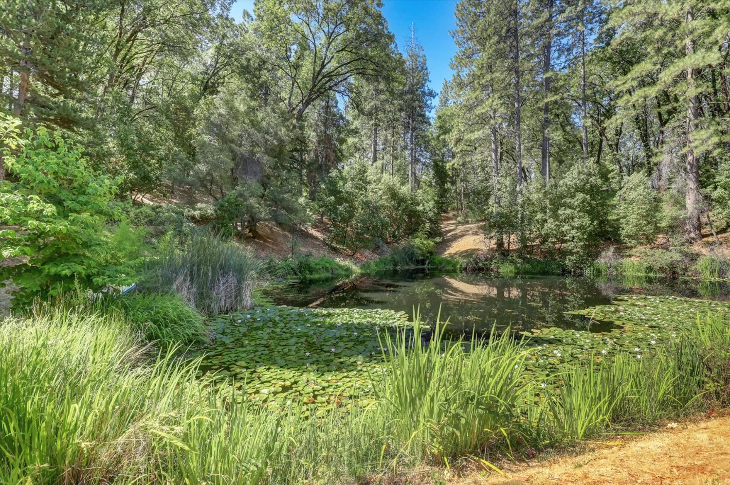 13118 Cement Hill Road Nevada City, CA 95959 - Photo 84 of 98