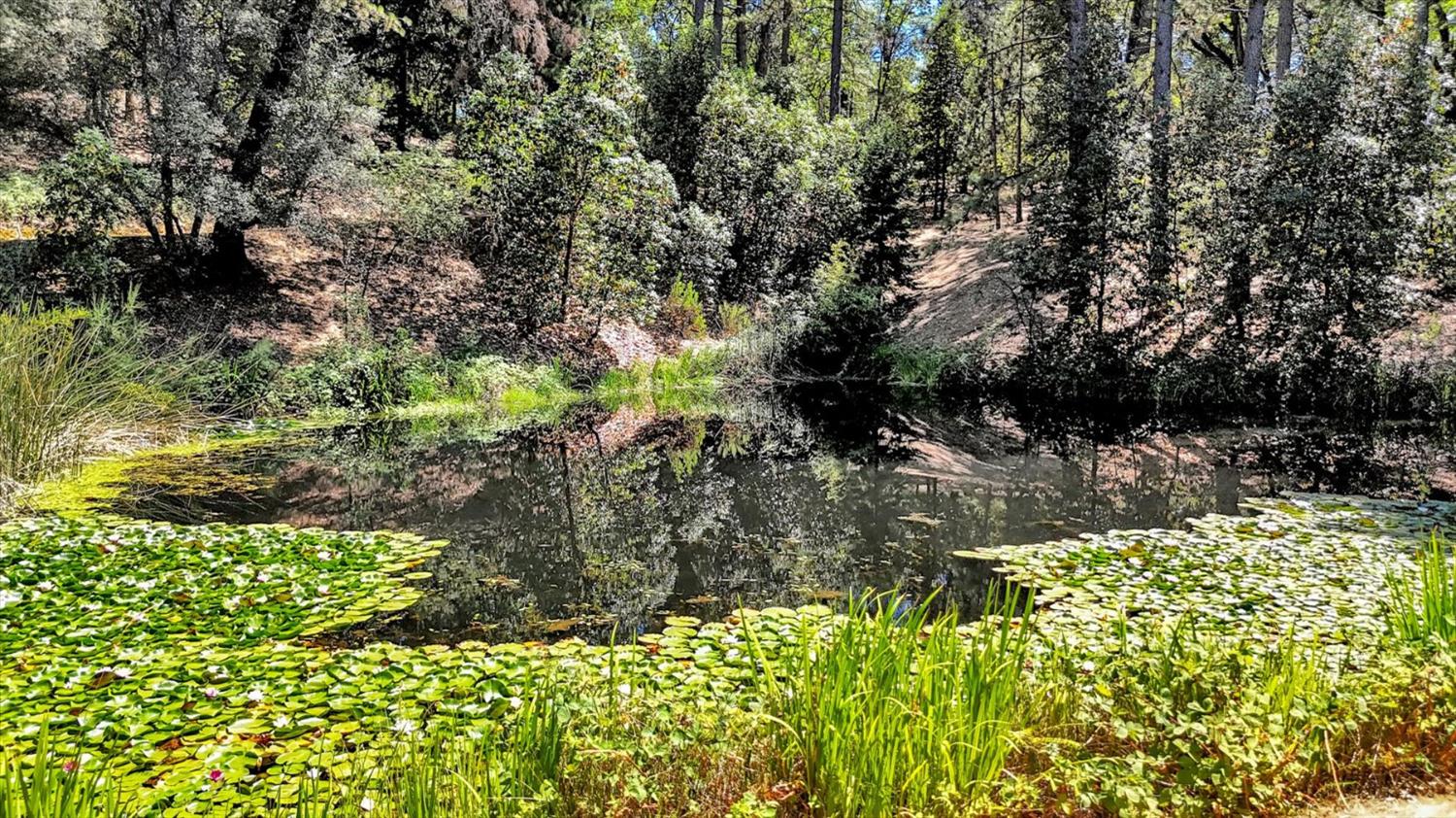 13118 Cement Hill Road Nevada City, CA 95959 - Photo 85 of 98