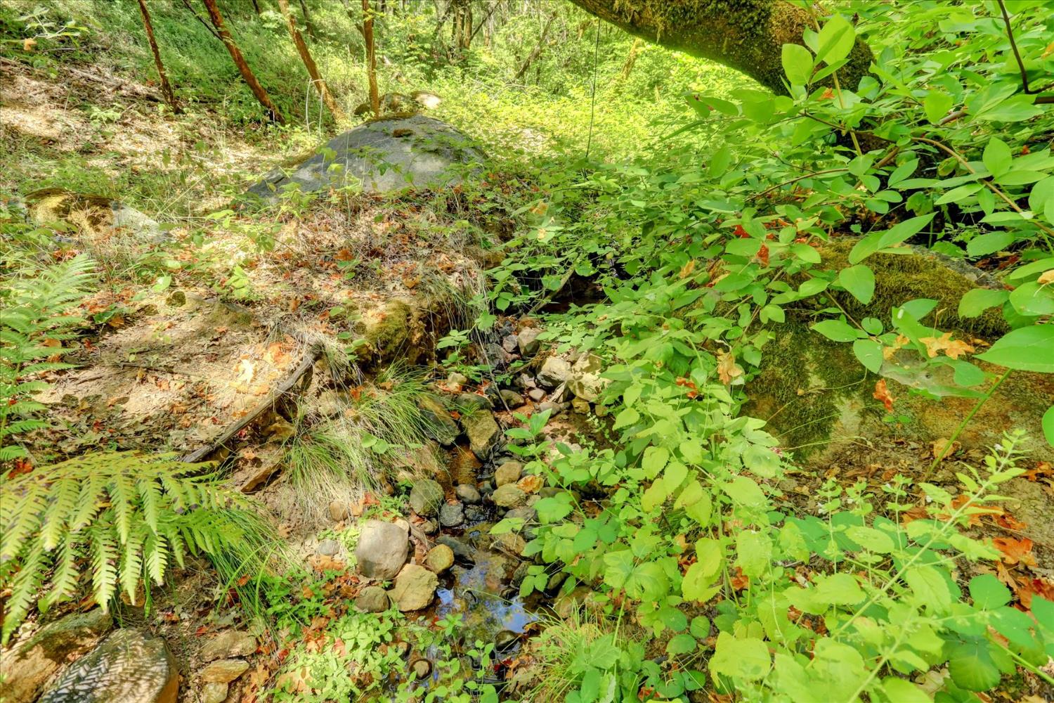 13118 Cement Hill Road Nevada City, CA 95959 - Photo 86 of 98