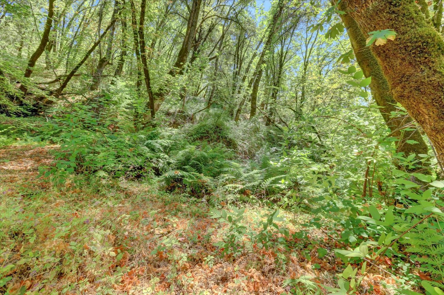 13118 Cement Hill Road Nevada City, CA 95959 - Photo 88 of 98