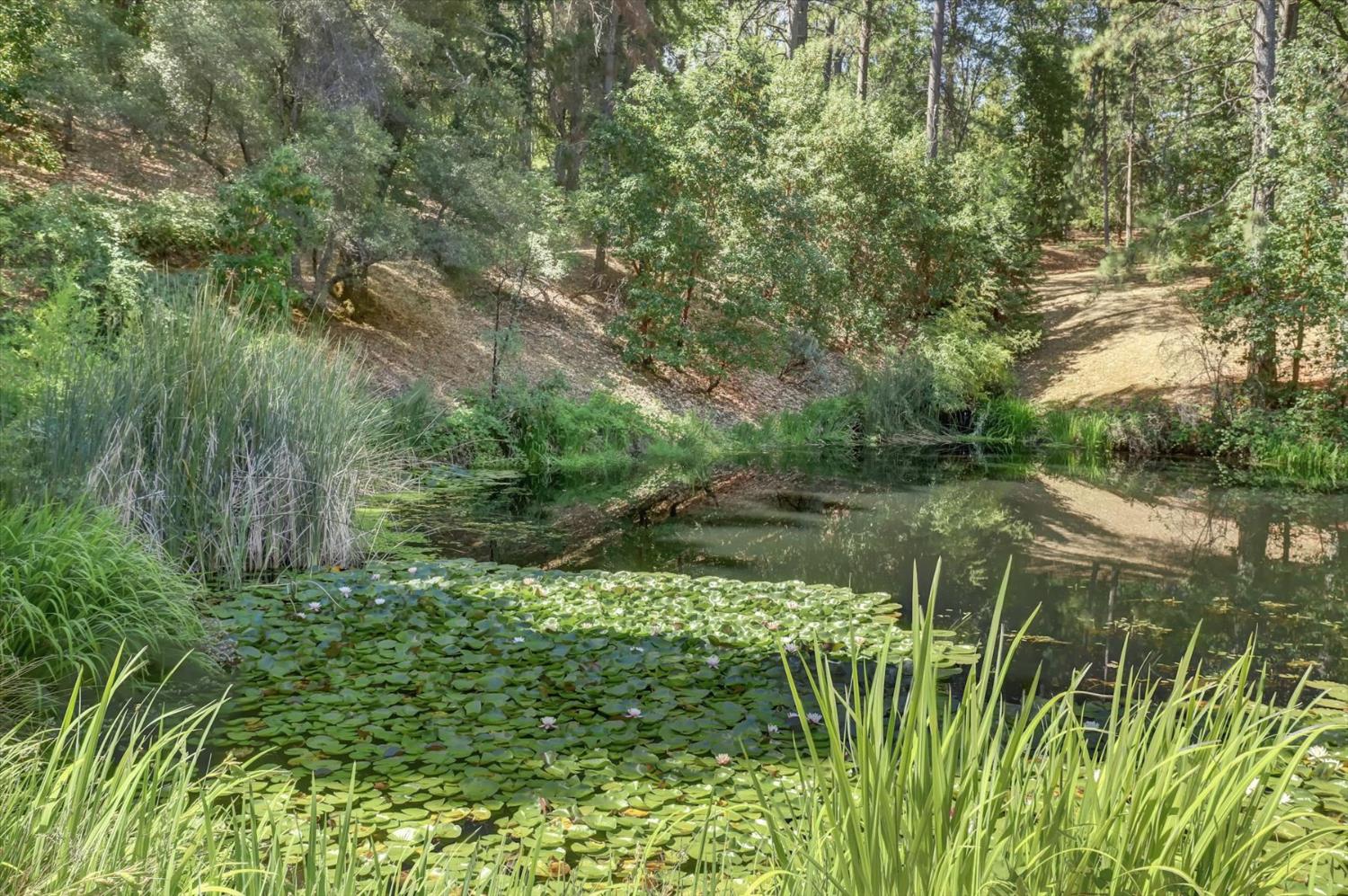 13118 Cement Hill Road Nevada City, CA 95959 - Photo 90 of 98