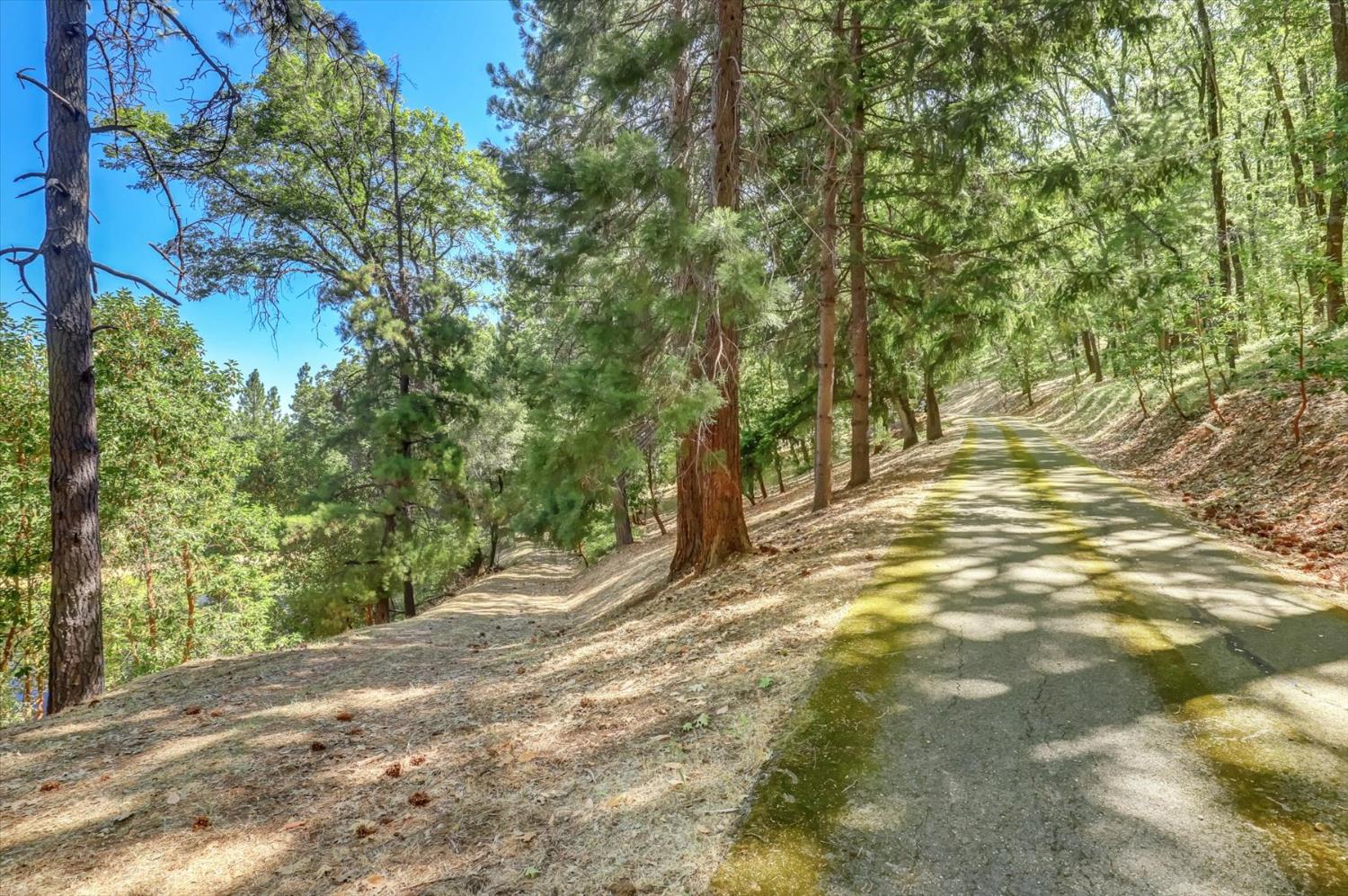 13118 Cement Hill Road Nevada City, CA 95959 - Photo 91 of 98
