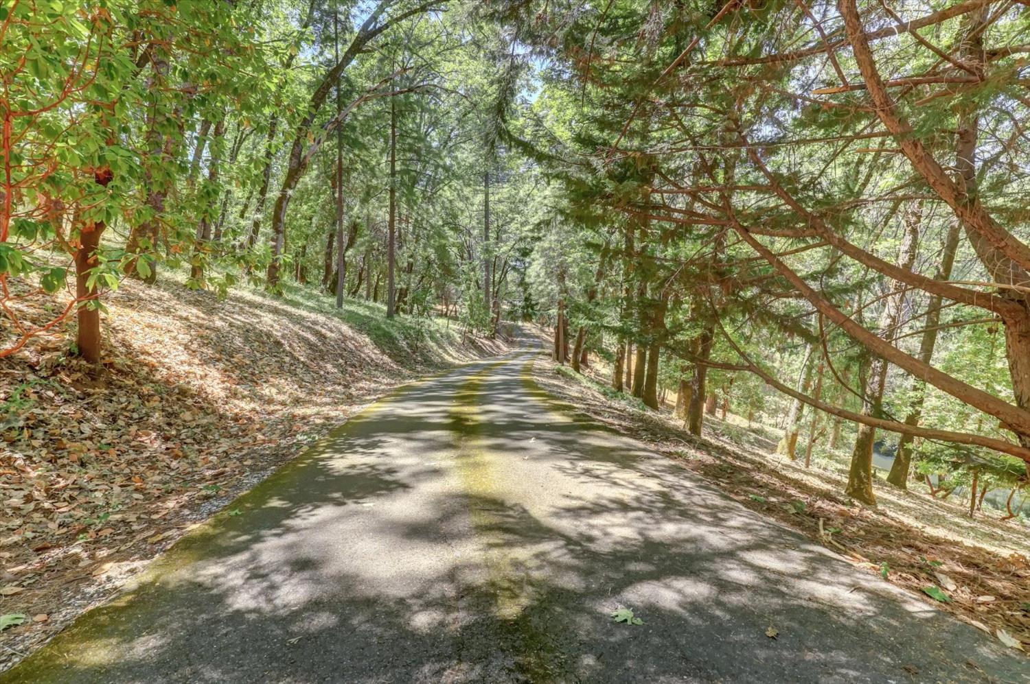 13118 Cement Hill Road Nevada City, CA 95959 - Photo 95 of 98