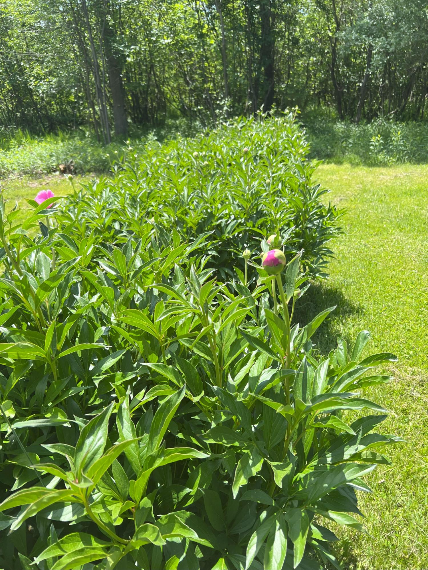 N8495 East Wilson Flowage Road Phillips, WI 54555 - Photo 58 of 65 Gallery Image 58