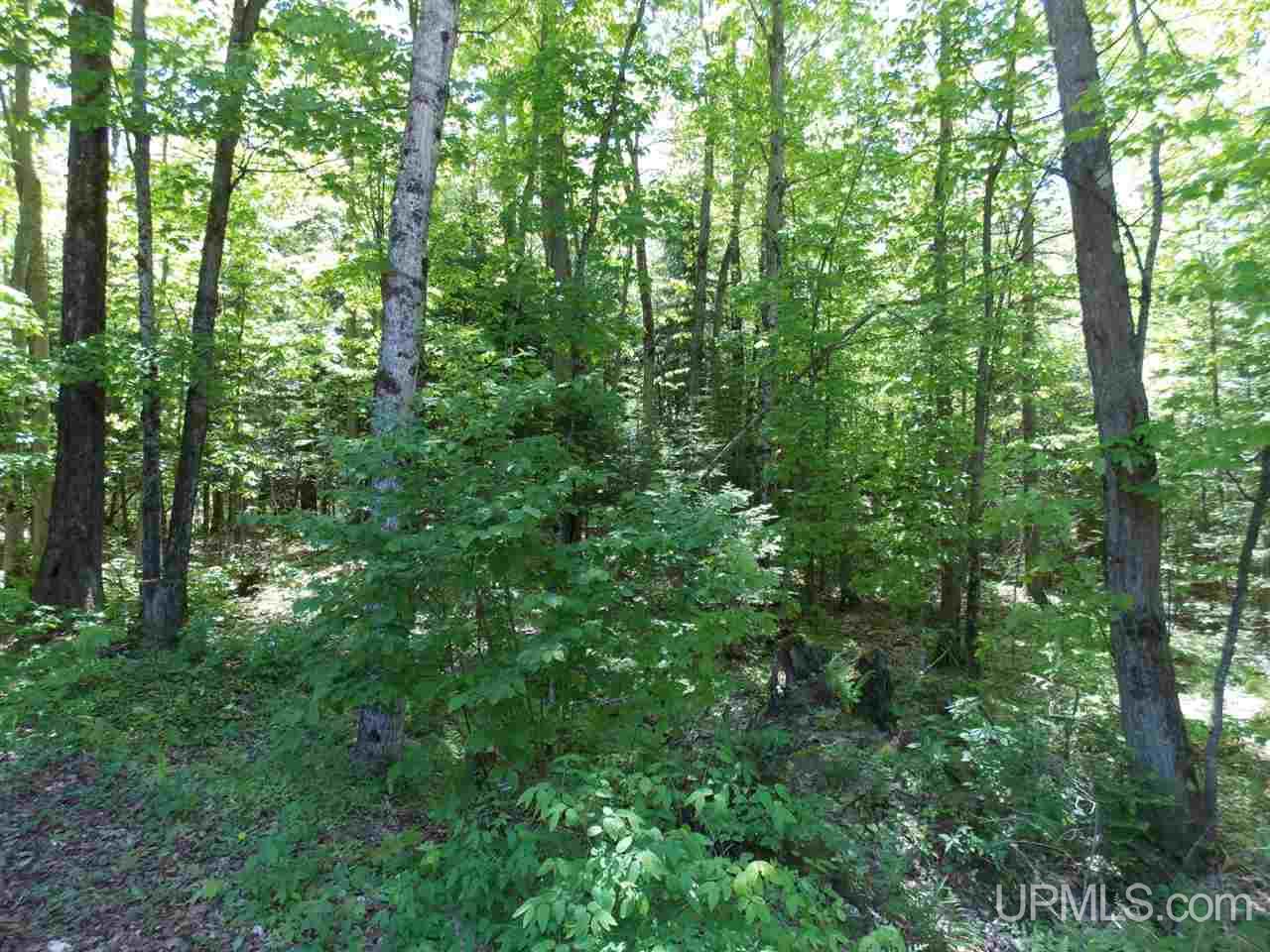 19060 Herman Road Lanse, MI 49946 - Photo 13 of 18 Gallery Image 13
