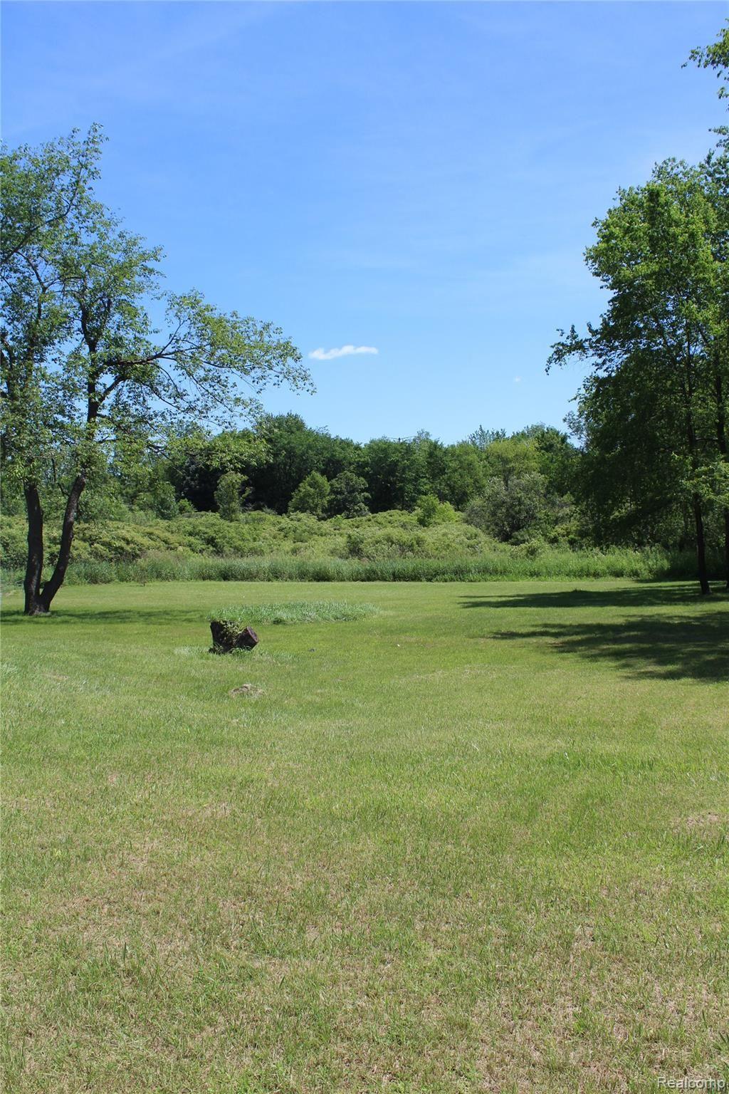 Large backyard