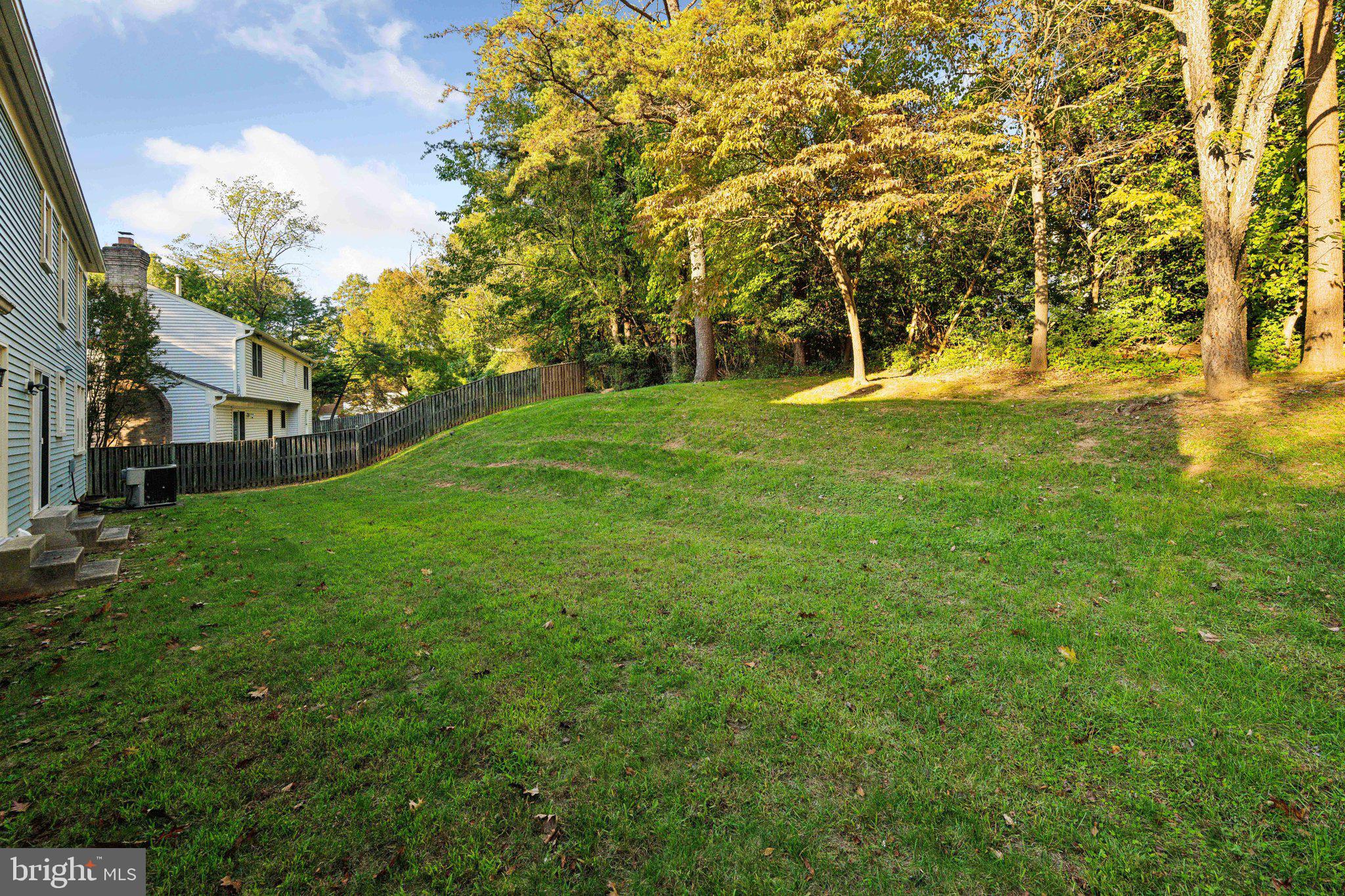 11421 Classical Lane Silver Spring, MD 20901 - Photo 32 of 35 Back of the house surrounded by woods
