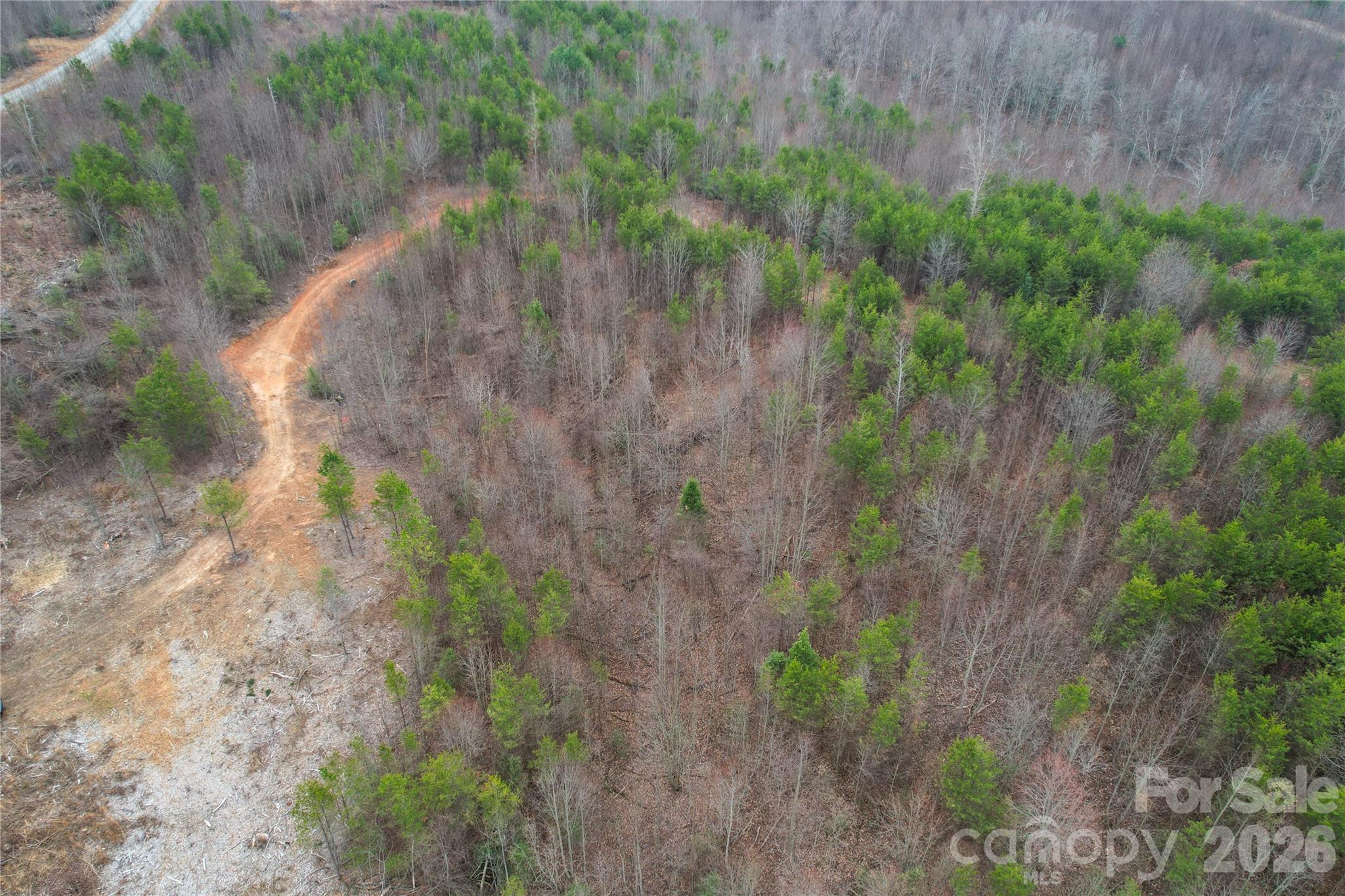 0 Baugess Mill Road Traphill, NC 28685 - Photo 27 of 29