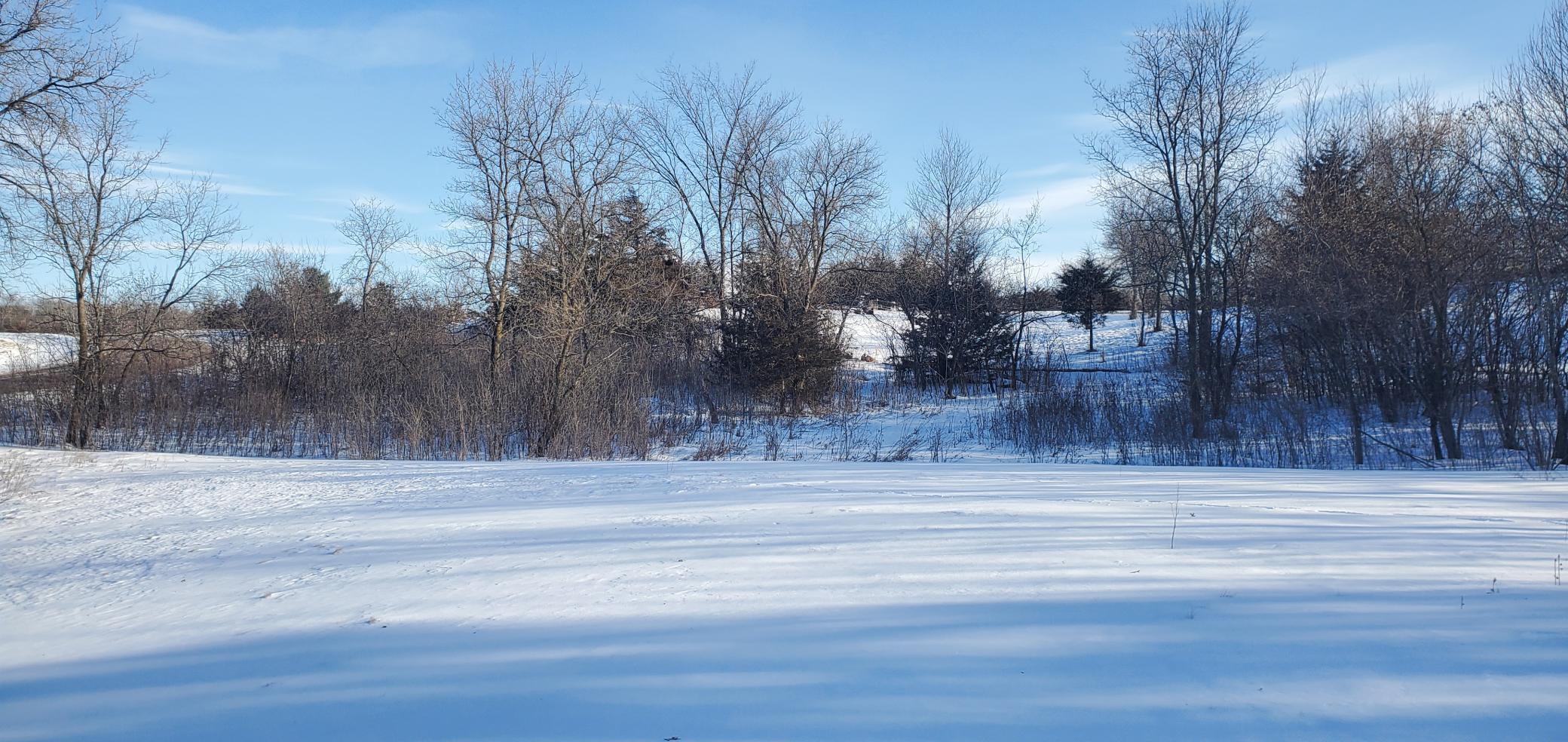 1006 Moonglow Road Hudson, WI 54016 - Photo 14 of 15