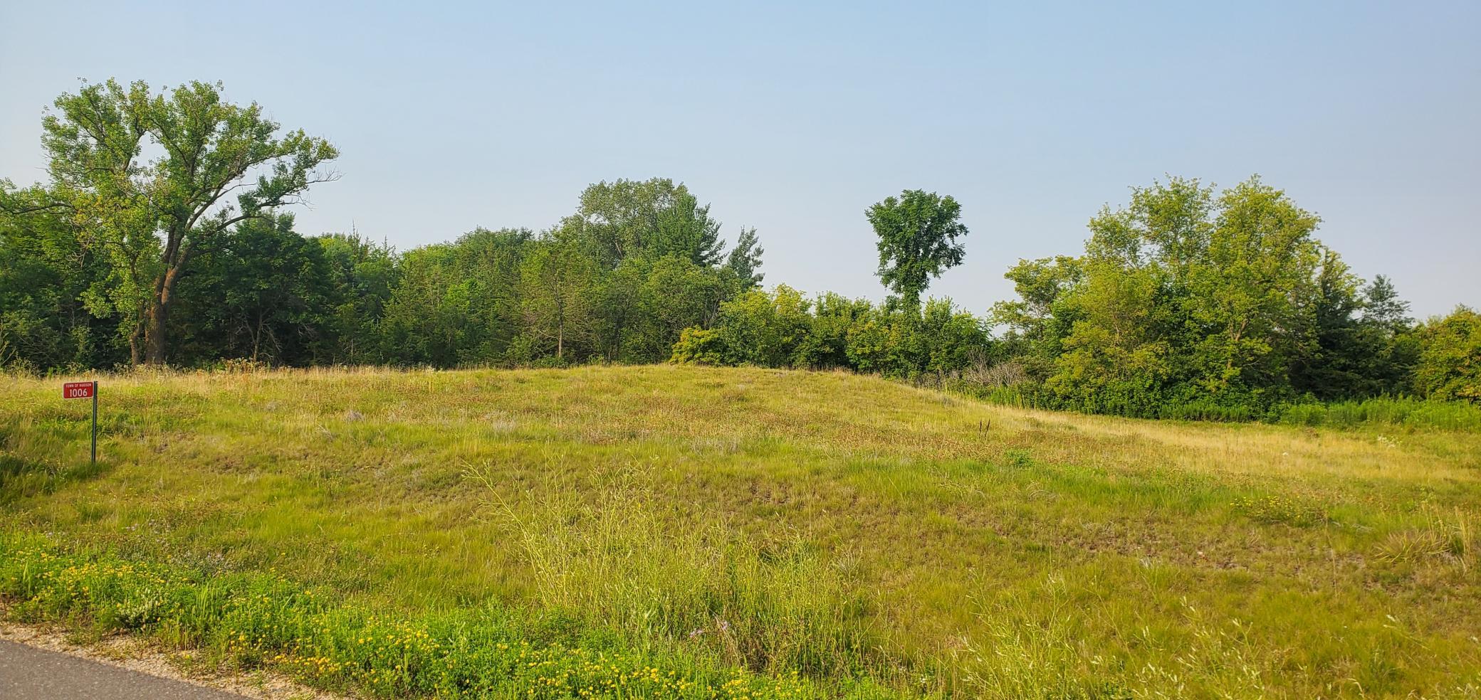1006 Moonglow Road Hudson, WI 54016 - Photo 2 of 15