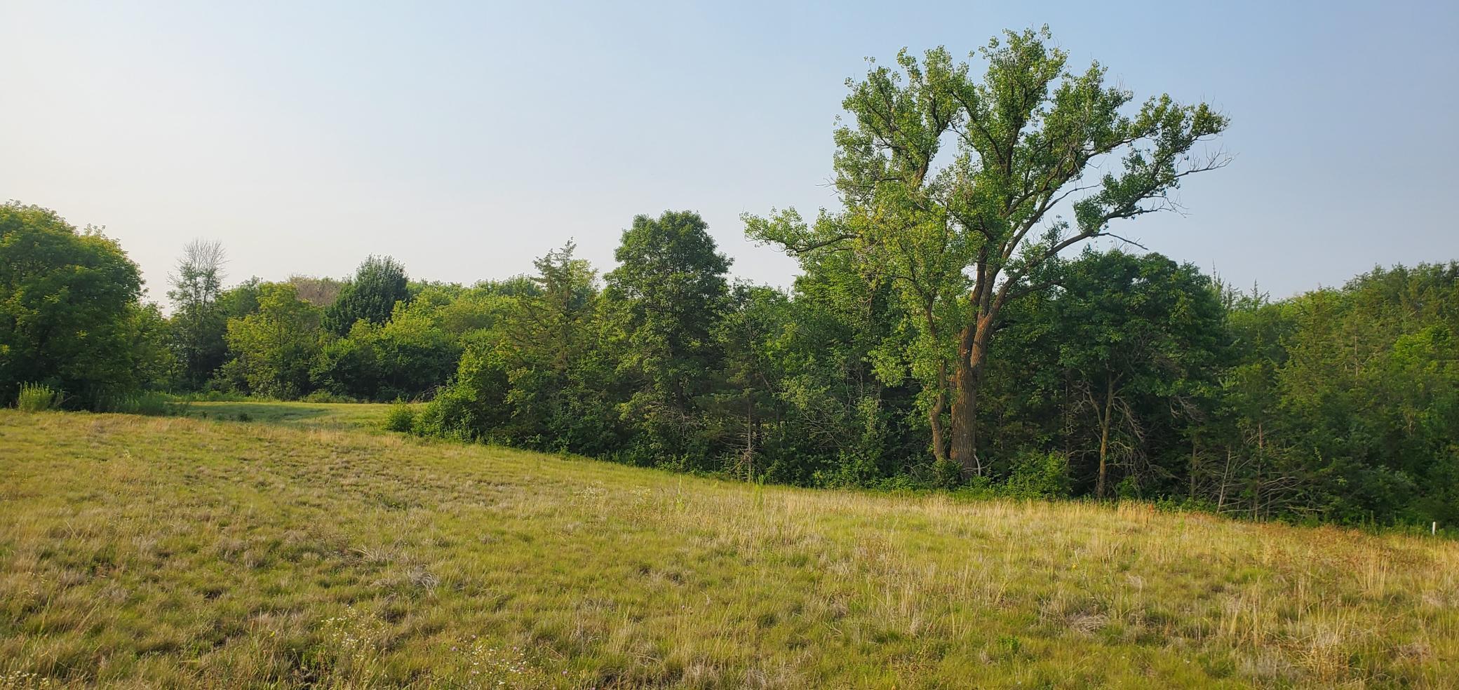 1006 Moonglow Road Hudson, WI 54016 - Photo 3 of 15