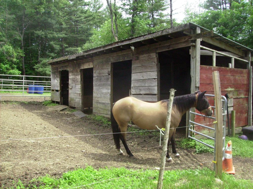 432 Stage Road Plainfield, NH 03781 - Photo 4 of 18 Gallery Image 4