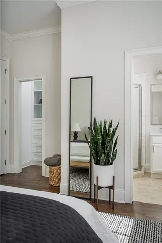 a living room with furniture potted plant and a window