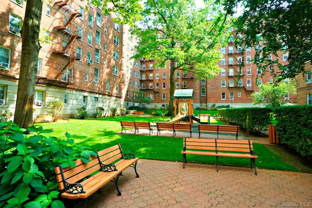 a view of a park with large trees