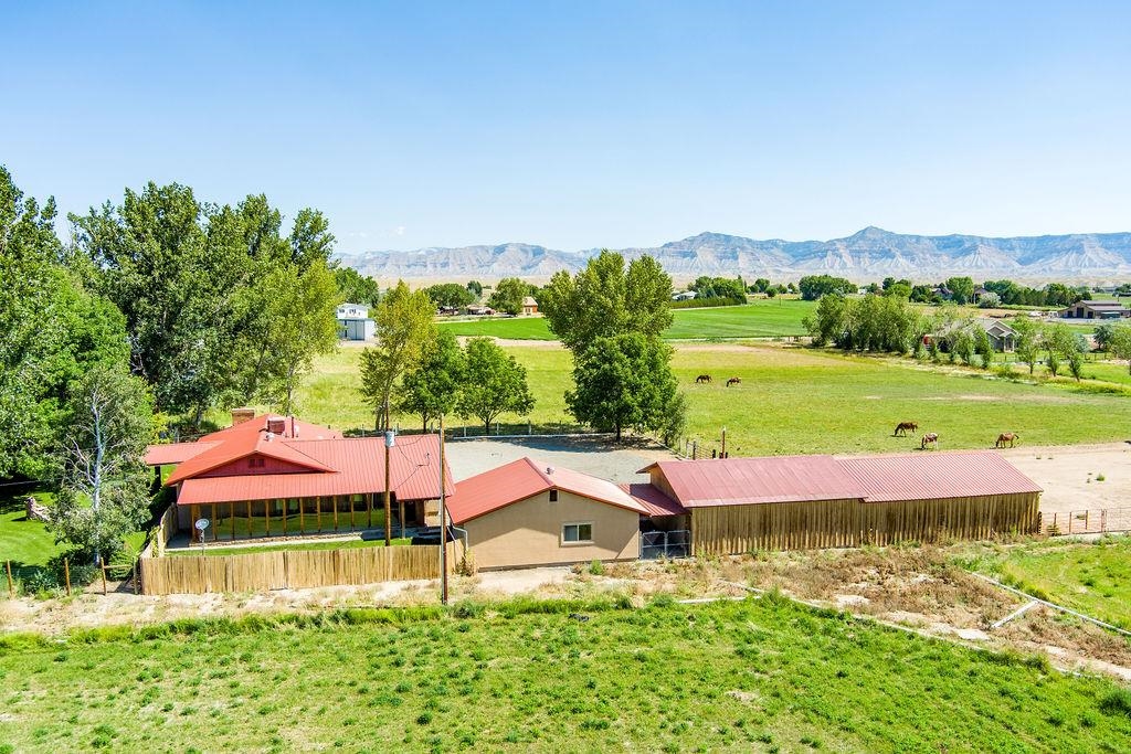 1146 23 Road Grand Junction, CO 81505 - Photo 8 of 42 a view of house with garden space and trees all around