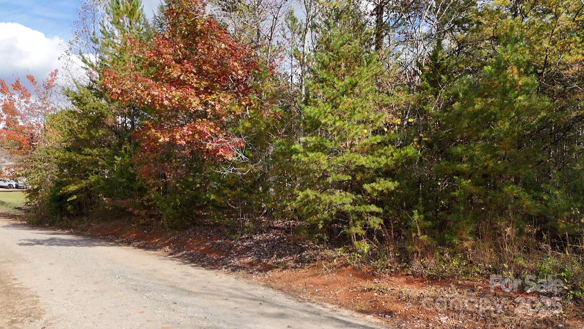 0 Hidden Cove Road, Unit 5 Marion, NC 28752 - Photo 4 of 5 a view of a forest with trees in the background