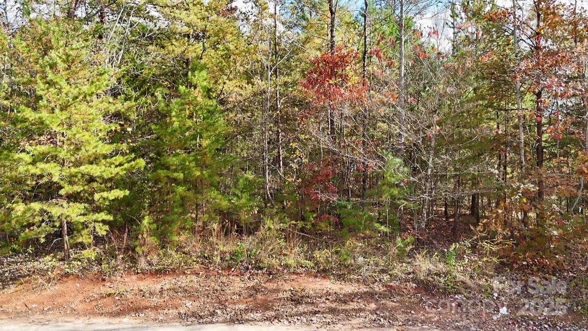 0 Hidden Cove Road, Unit 5 Marion, NC 28752 - Photo 5 of 5 a view of a yard