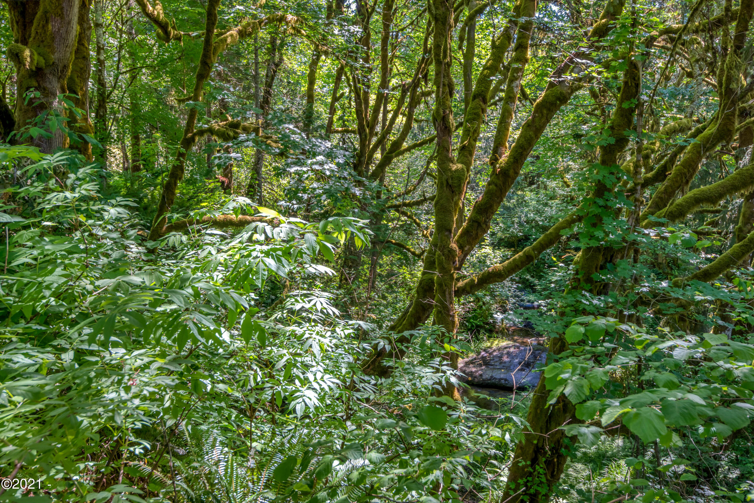 4624 Logsden Road Siletz, OR 97380 - Photo 40 of 52 4624LogsdenRd323