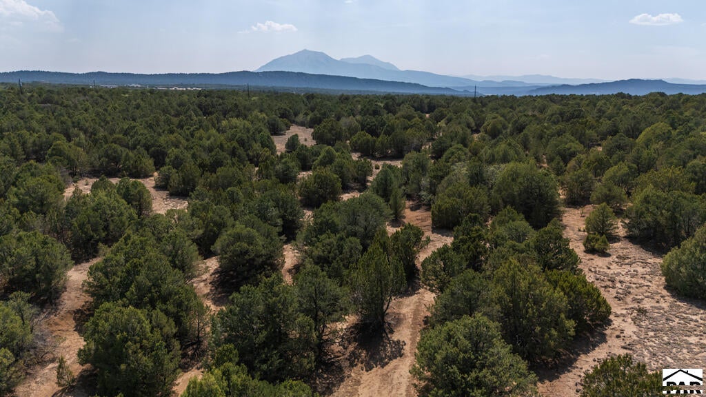 2308 Silver Spur Road Walsenburg, CO 81089 - Photo 53 of 75 Gallery Image 53