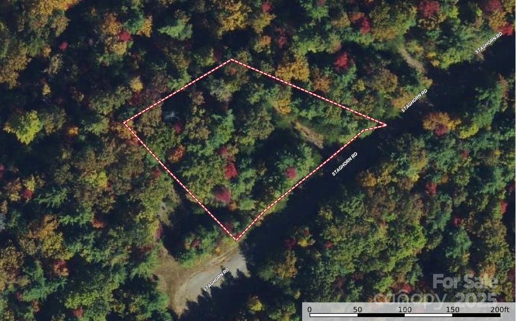 Tbd Staghorn Road, Unit 164 Purlear, NC 28665 - Photo 3 of 32