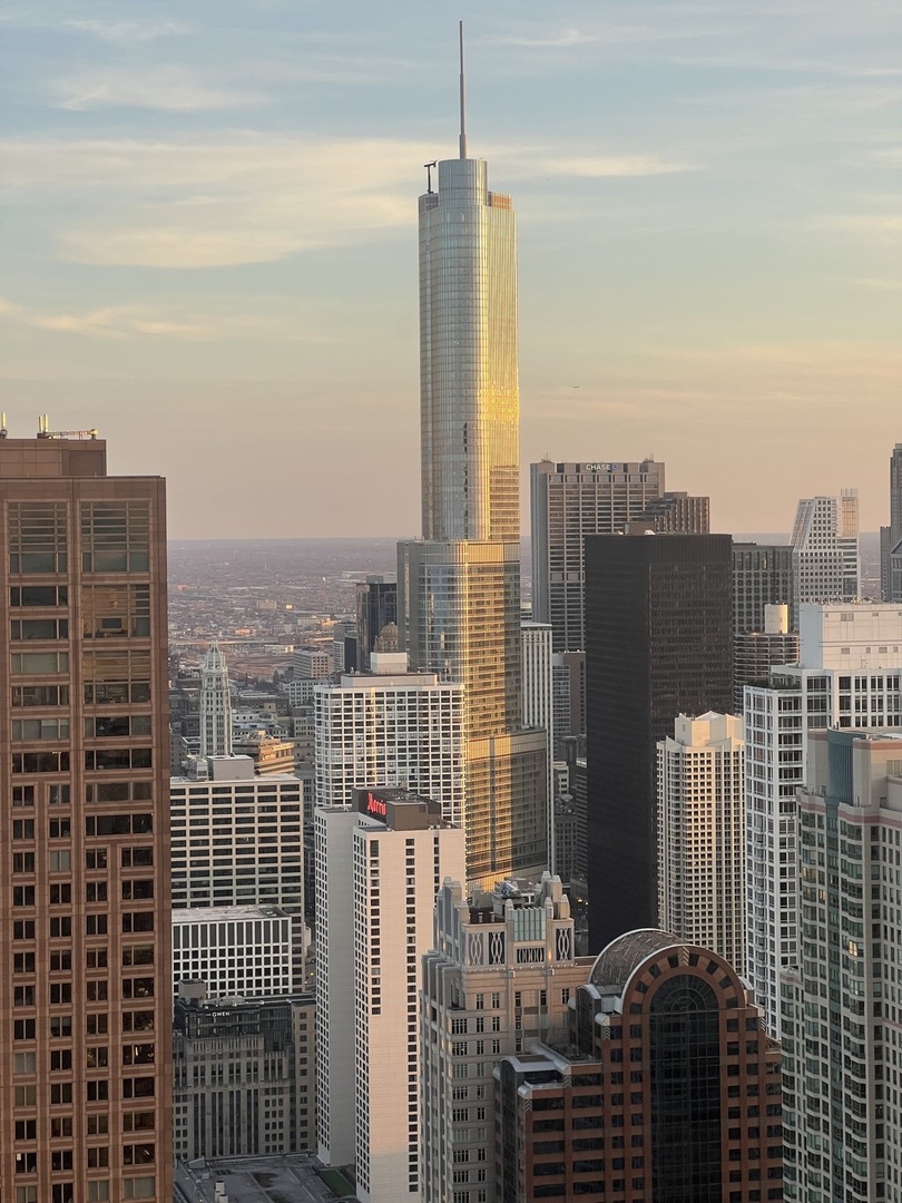 175 East Delaware Place, Unit 6018 Chicago, IL 60611 - Photo 31 of 38