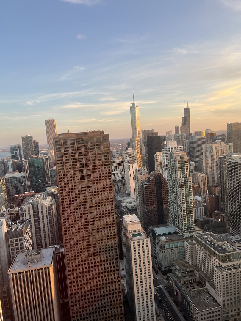 175 East Delaware Place, Unit 6018 Chicago, IL 60611 - Photo 37 of 38