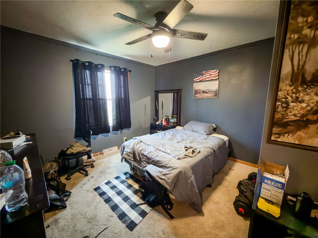 204 West Pine Street Calhoun, IL 62419 - Photo 22 of 46