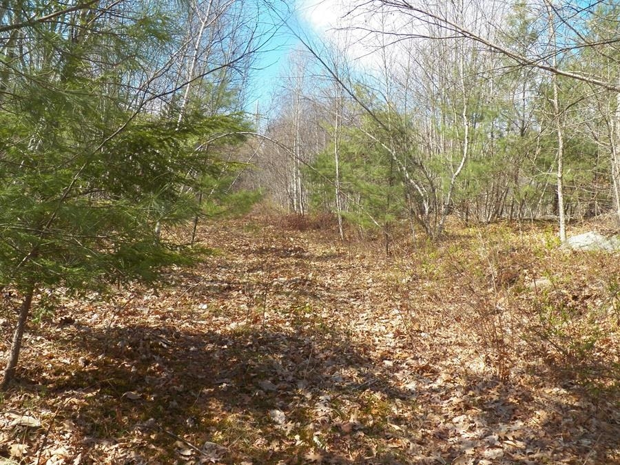 988 Dover Road Epsom, NH 03234 - Photo 11 of 29
