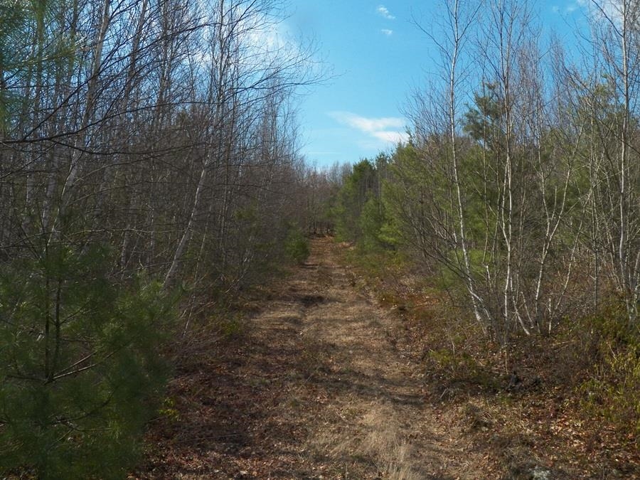 988 Dover Road Epsom, NH 03234 - Photo 13 of 29