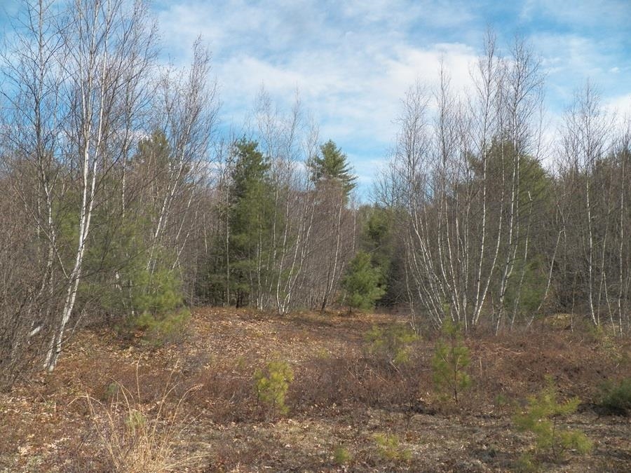988 Dover Road Epsom, NH 03234 - Photo 16 of 29