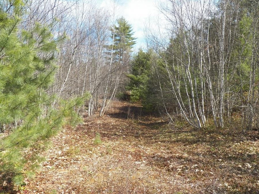 988 Dover Road Epsom, NH 03234 - Photo 17 of 29