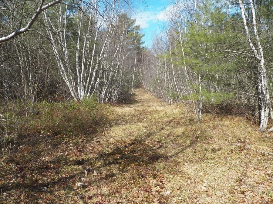 988 Dover Road Epsom, NH 03234 - Photo 18 of 29