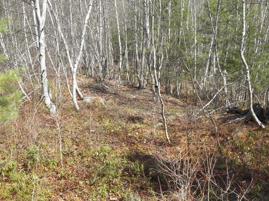 988 Dover Road Epsom, NH 03234 - Photo 20 of 29