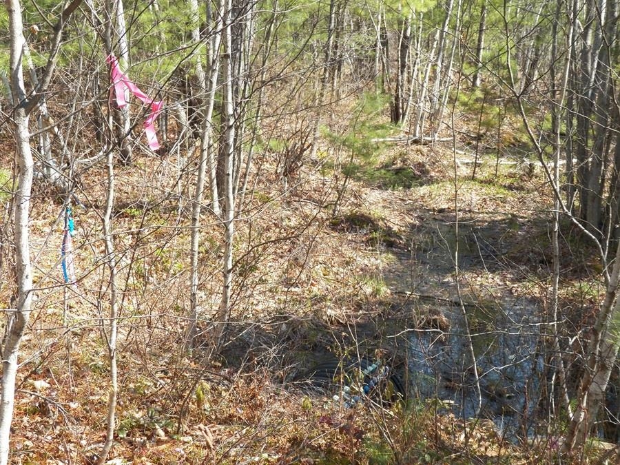 988 Dover Road Epsom, NH 03234 - Photo 21 of 29