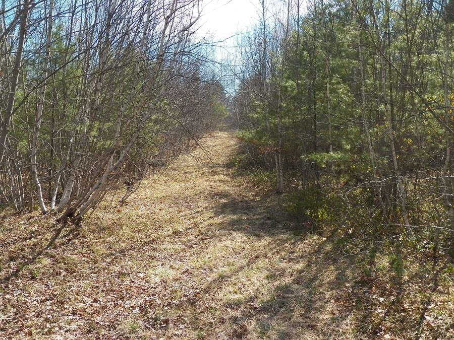 988 Dover Road Epsom, NH 03234 - Photo 22 of 29