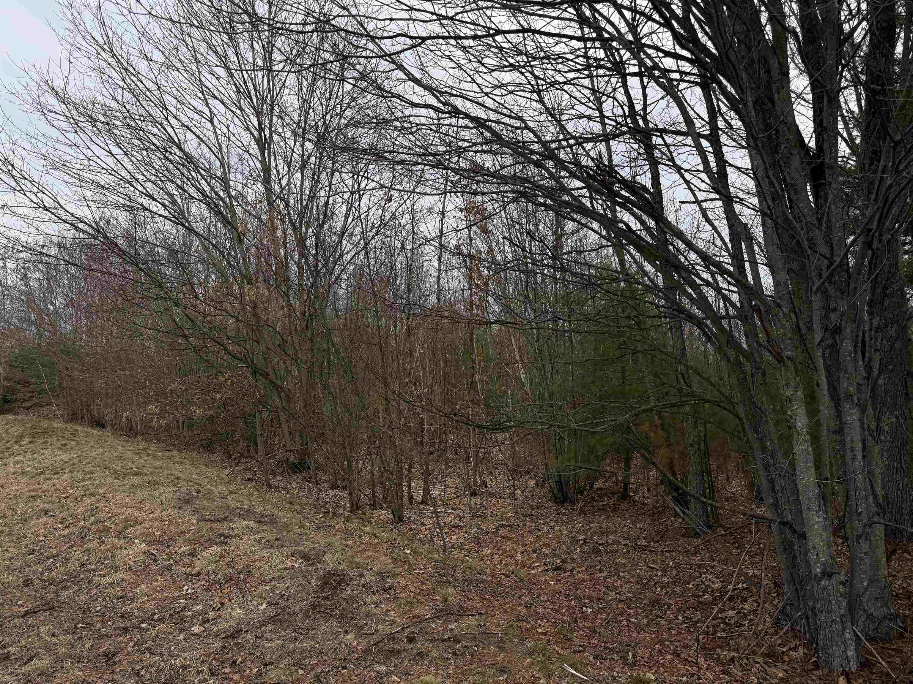 988 Dover Road Epsom, NH 03234 - Photo 23 of 29
