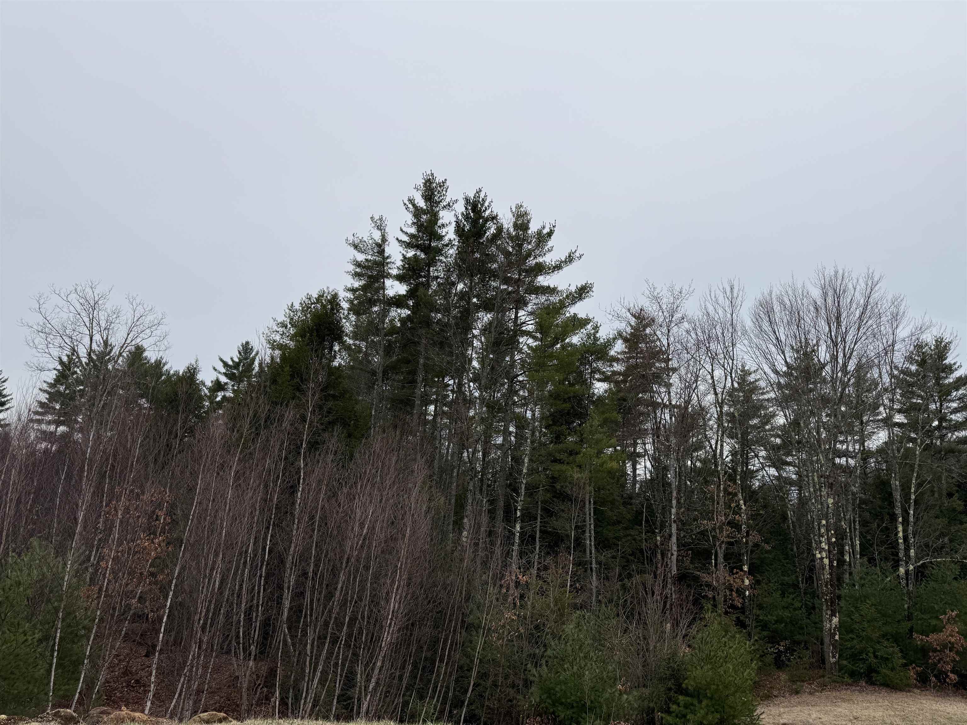 988 Dover Road Epsom, NH 03234 - Photo 26 of 29