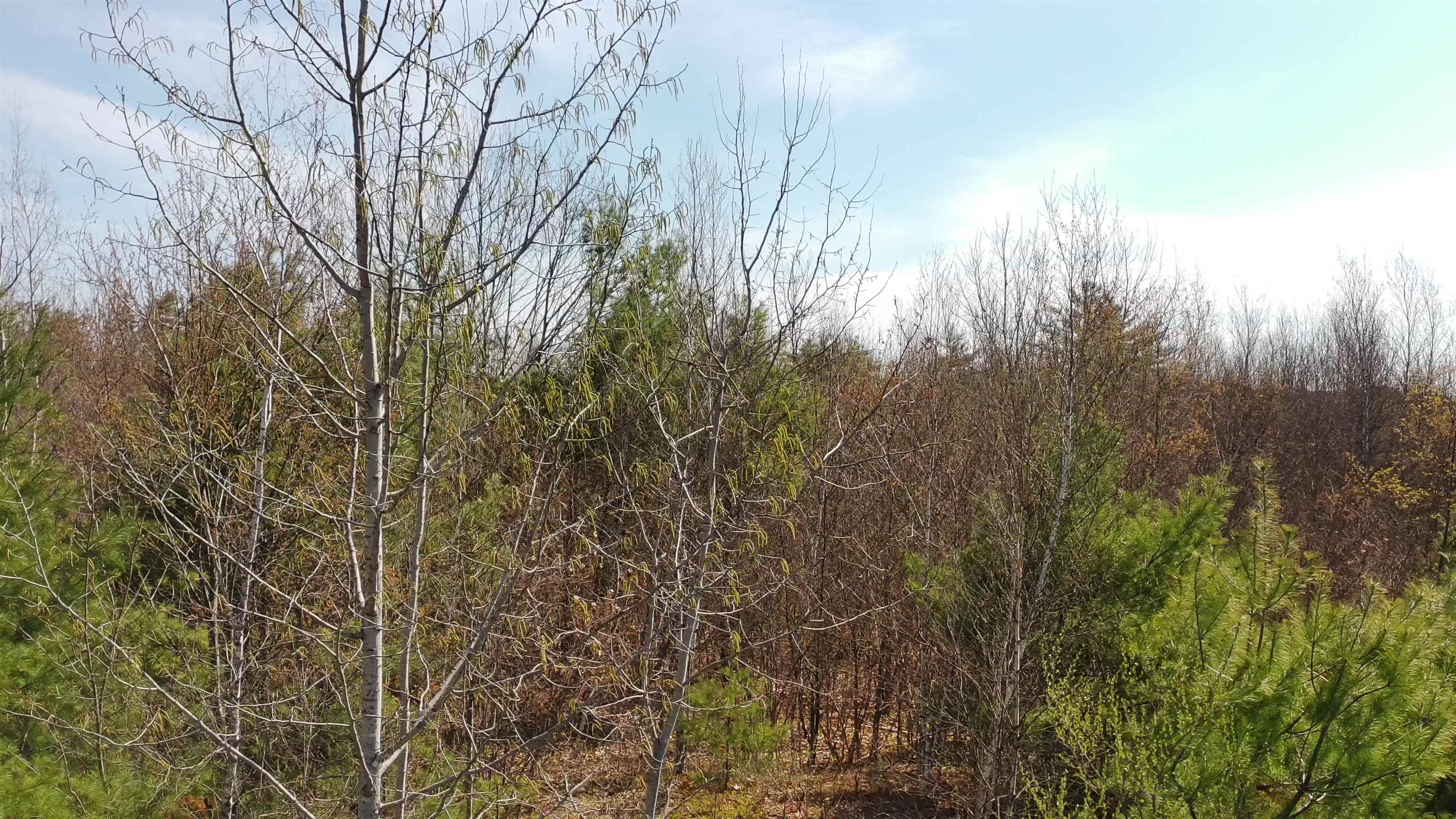 988 Dover Road Epsom, NH 03234 - Photo 29 of 29