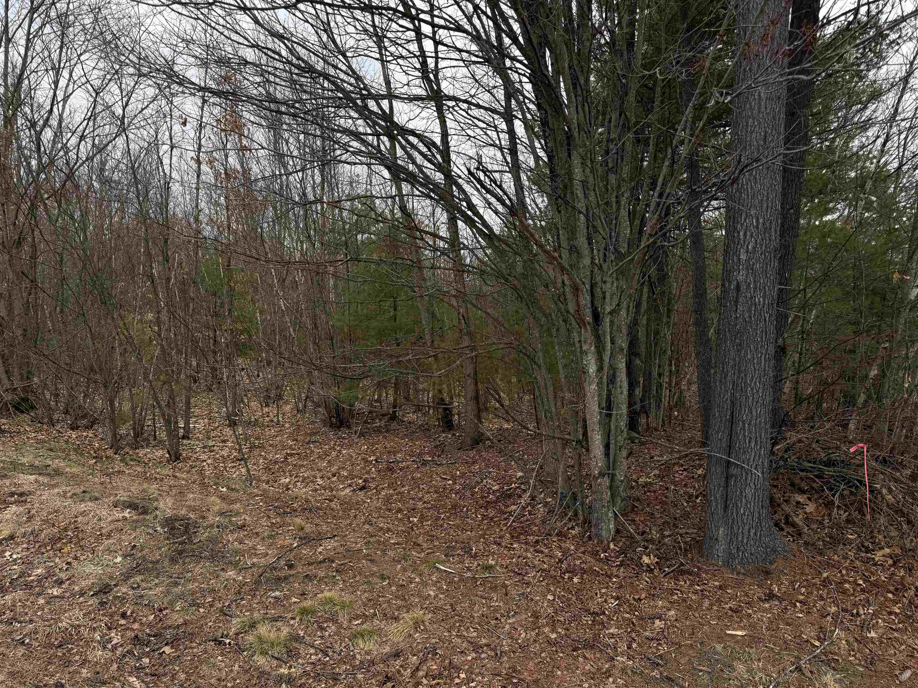 988 Dover Road Epsom, NH 03234 - Photo 3 of 29