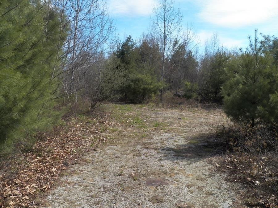 988 Dover Road Epsom, NH 03234 - Photo 4 of 29