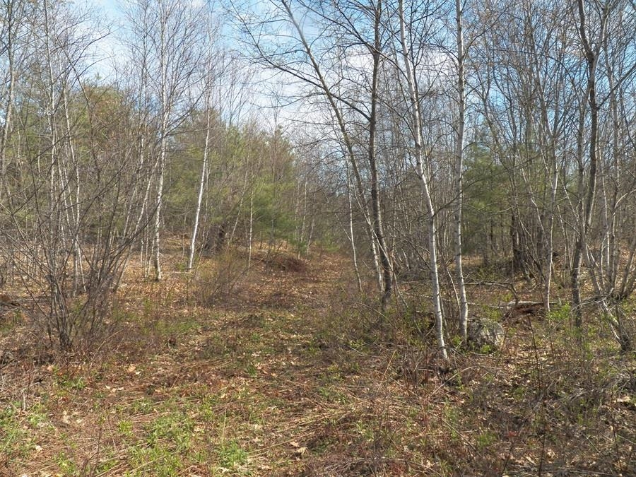 988 Dover Road Epsom, NH 03234 - Photo 8 of 29