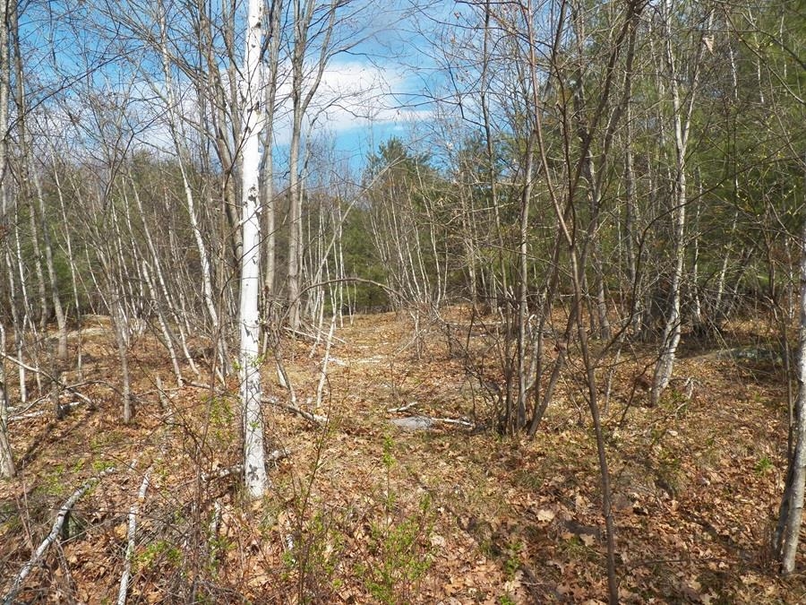 988 Dover Road Epsom, NH 03234 - Photo 9 of 29