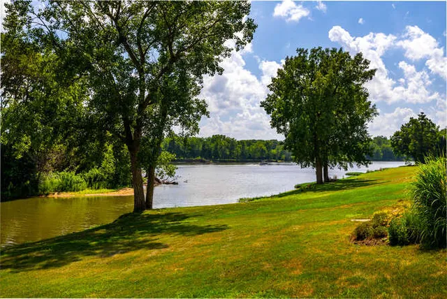 a view of a lake from a yard