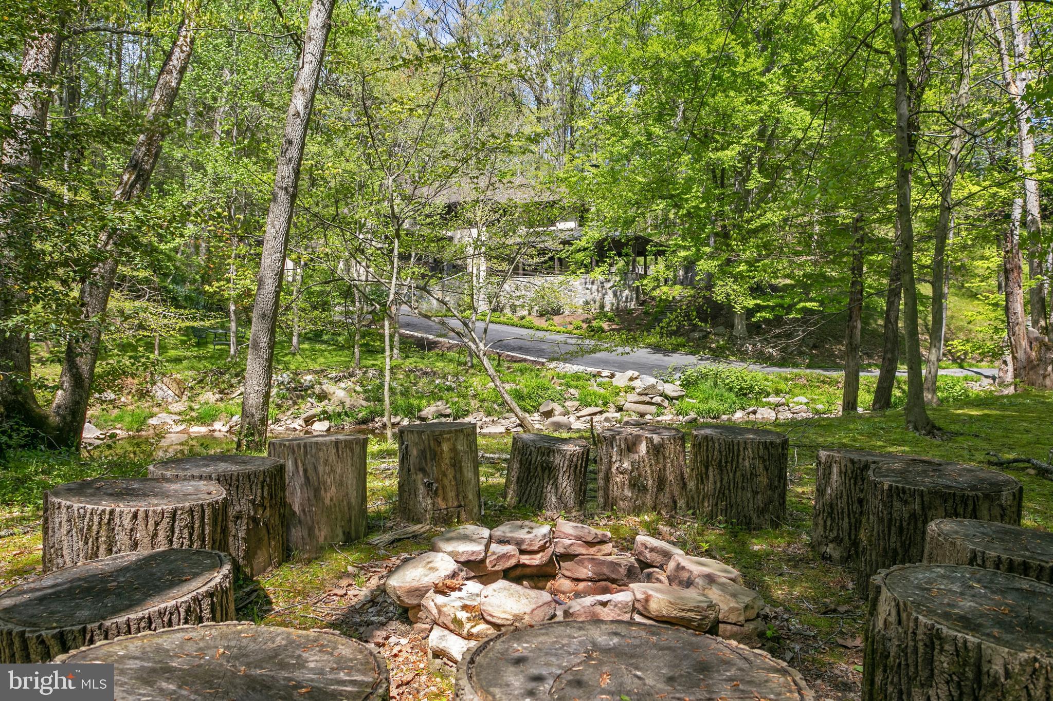 1324 Ranleigh Road McLean, VA 22101 - Photo 48 of 58