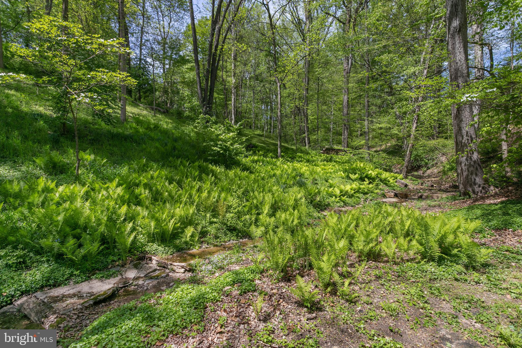 1324 Ranleigh Road McLean, VA 22101 - Photo 49 of 58