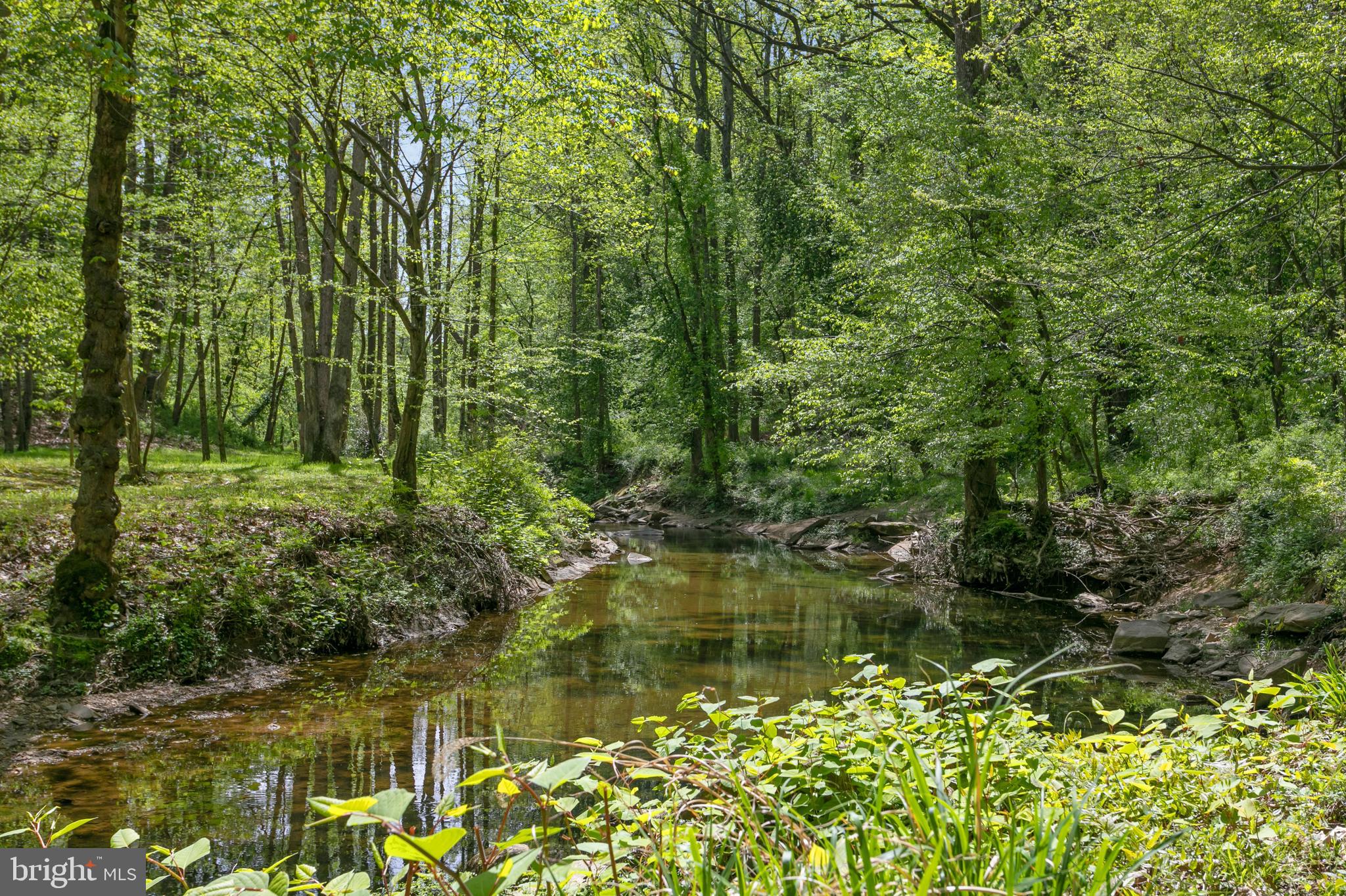 1324 Ranleigh Road McLean, VA 22101 - Photo 51 of 58