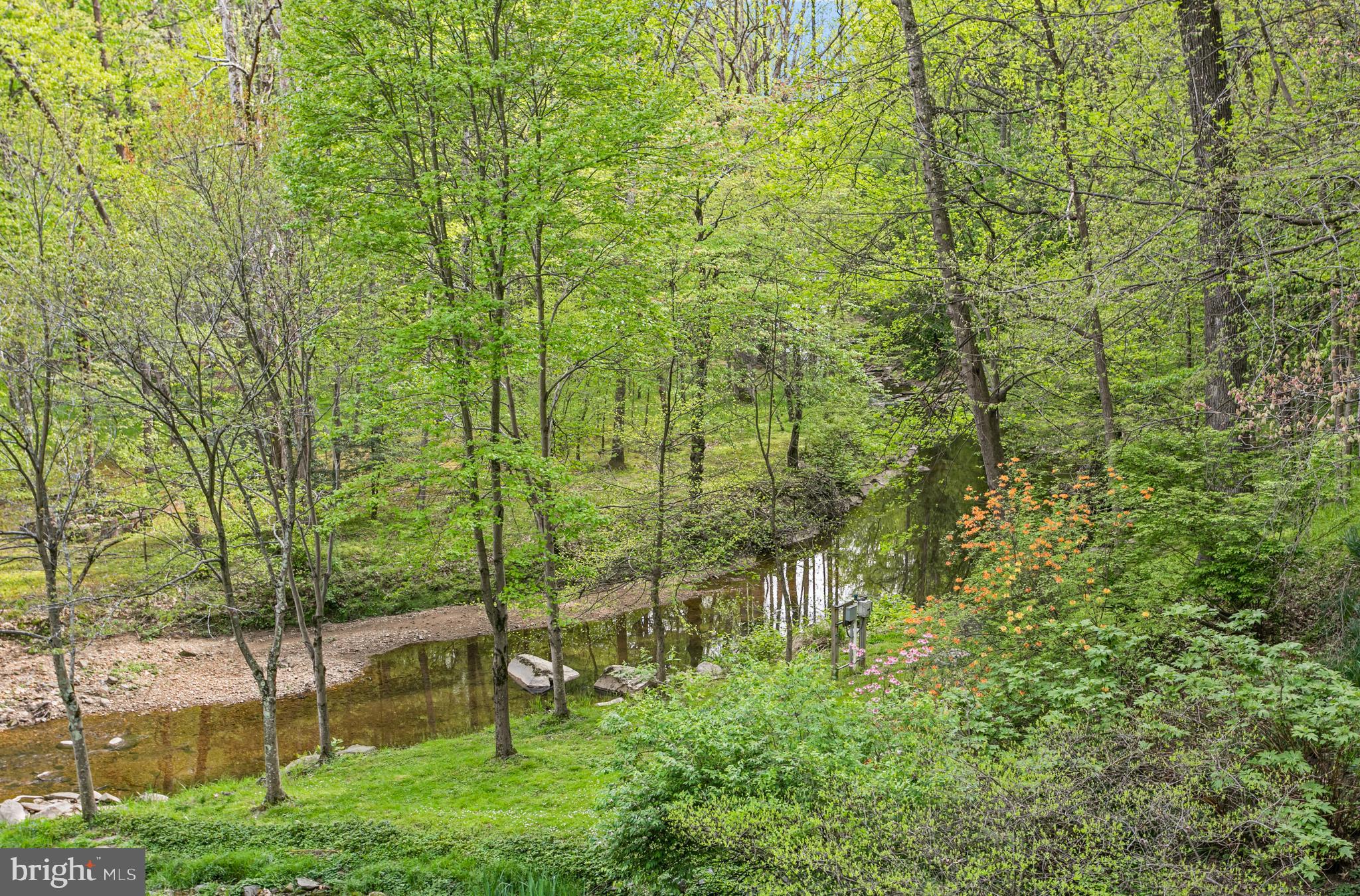 1324 Ranleigh Road McLean, VA 22101 - Photo 53 of 58