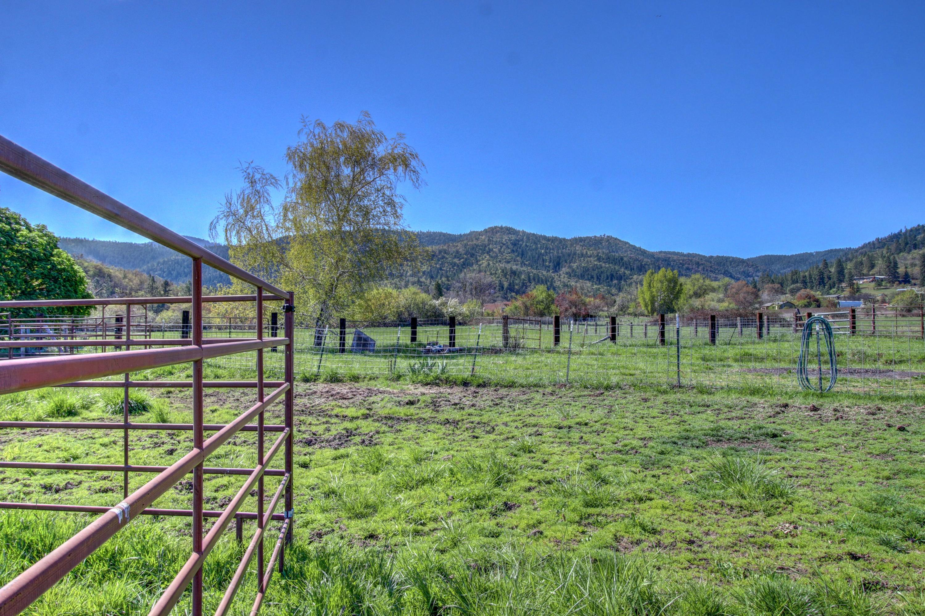 3055 Burrell Road Medford, OR 97501 - Photo 37 of 45 08 Pasture_Back