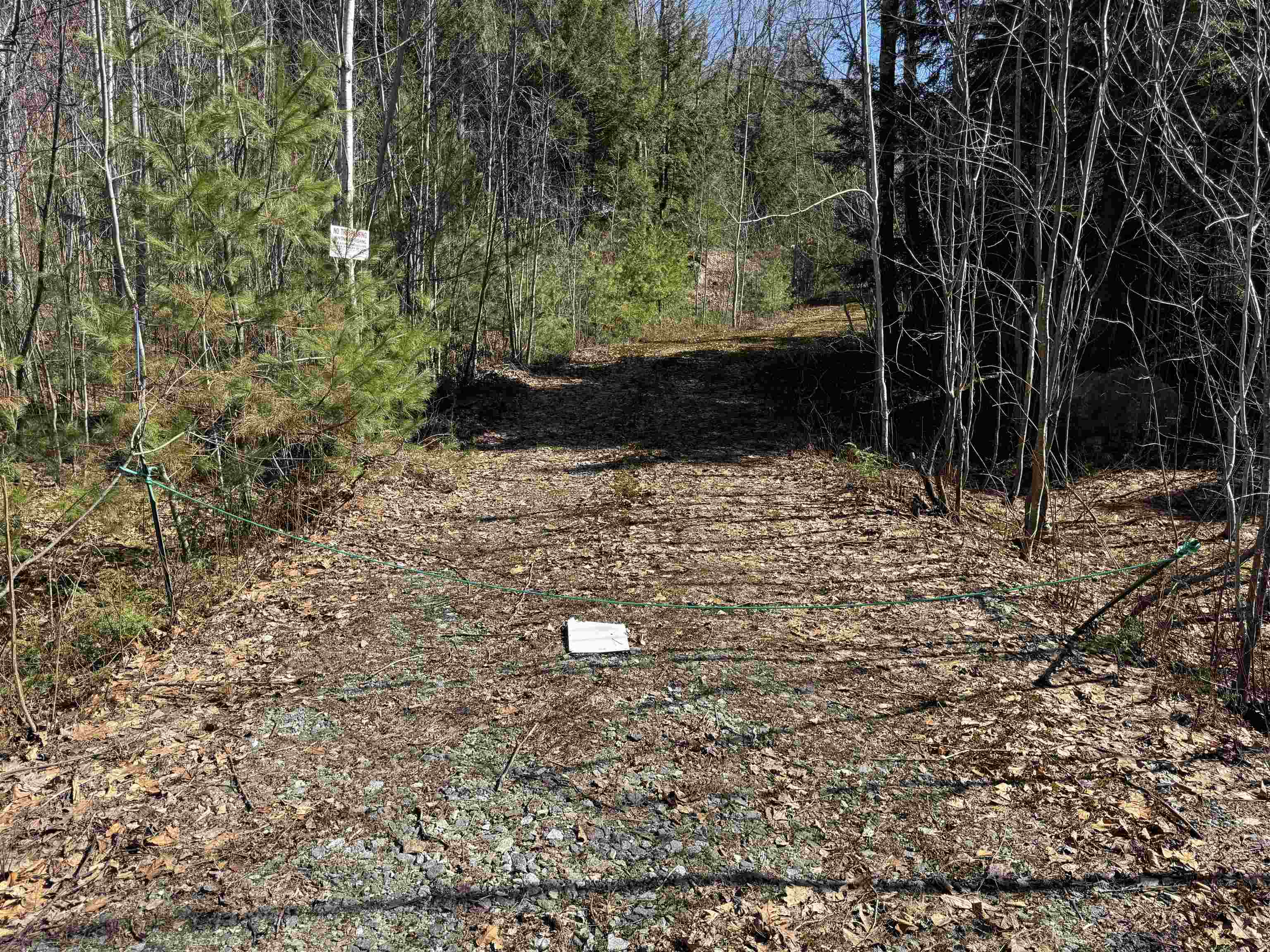 Lot 44 Bog Road Hillsborough, NH 03244 - Photo 1 of 6 Gallery Image 1